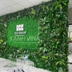 thi công tường cây giả Vcc Group